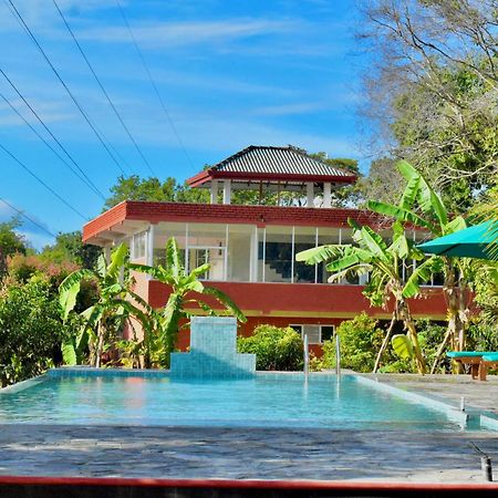 Green Hut Nature Resort 锡吉里亚 外观 照片
