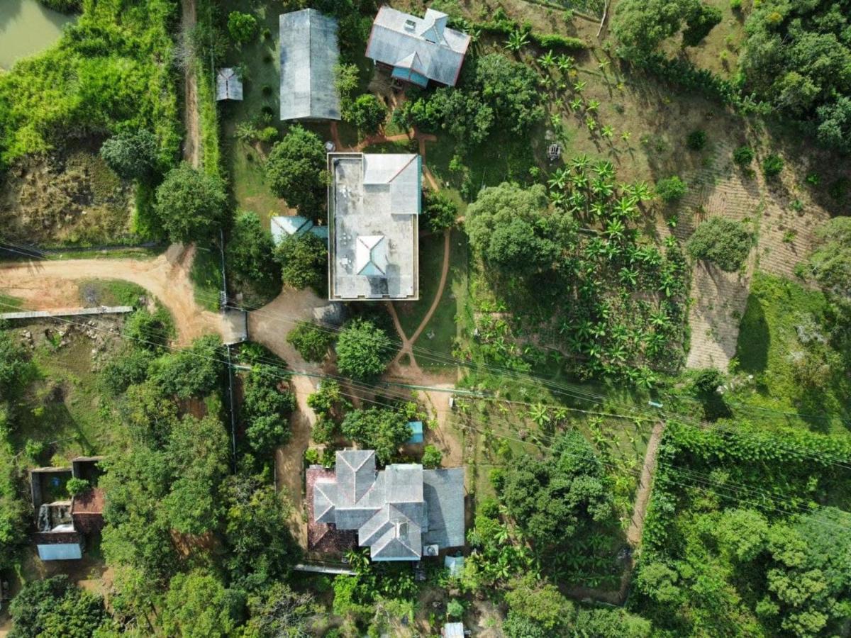 Green Hut Nature Resort 锡吉里亚 外观 照片