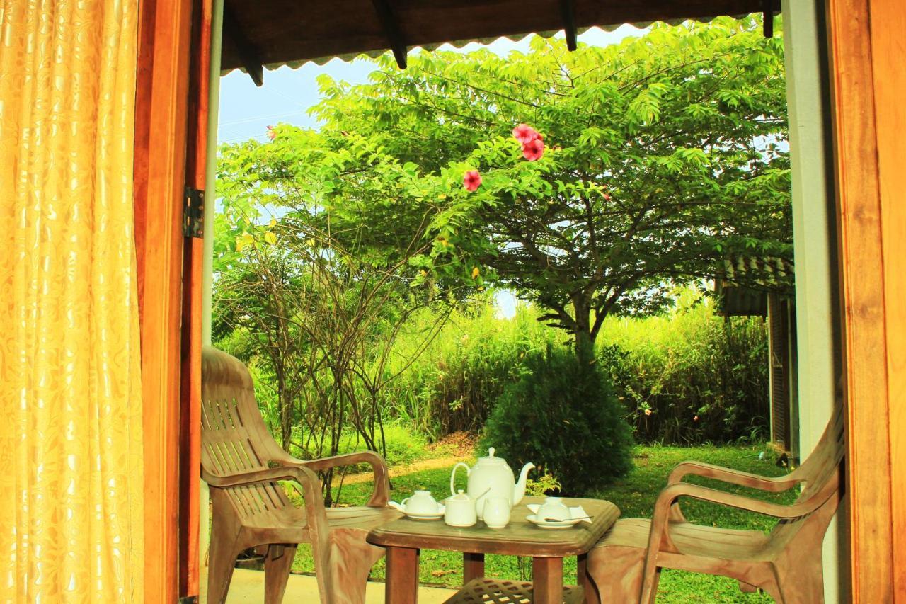 Green Hut Nature Resort 锡吉里亚 外观 照片