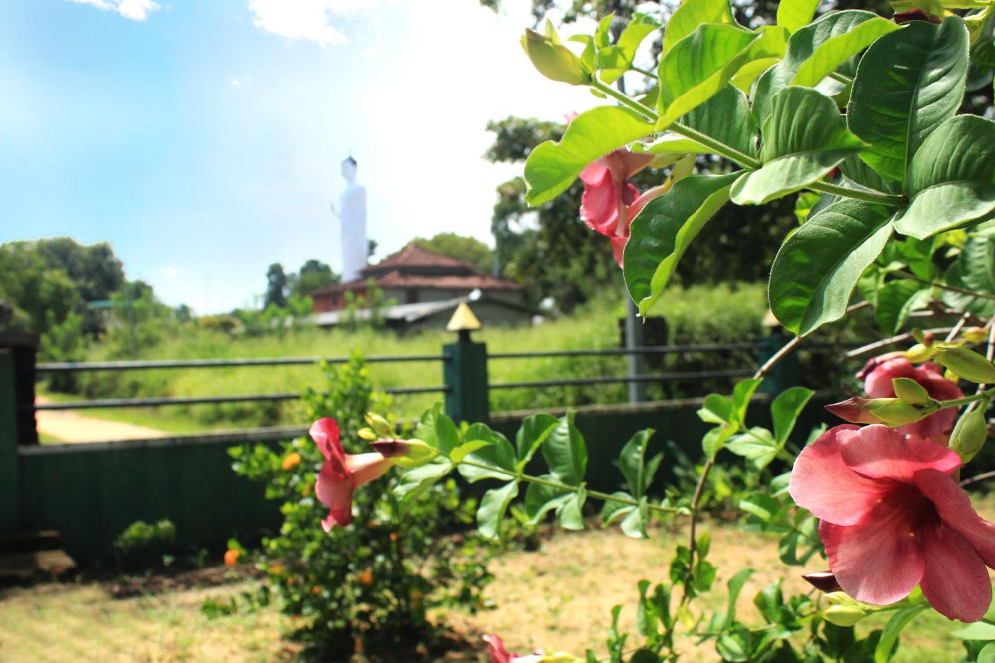 Green Hut Nature Resort 锡吉里亚 外观 照片